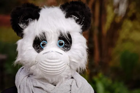 West Casino Kundeservice